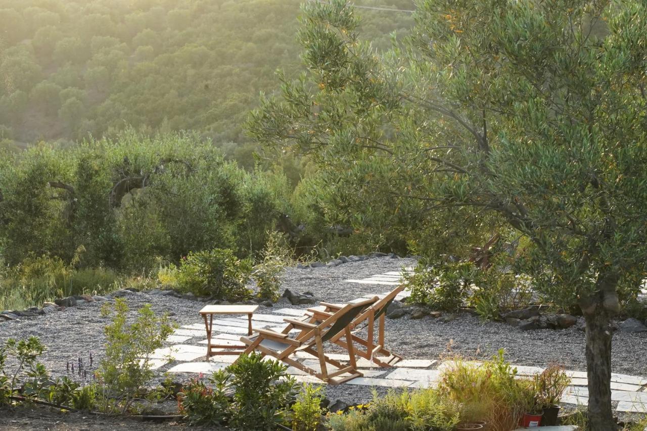 Alterra Vita Eco Villas نيوس مارماراس المظهر الخارجي الصورة